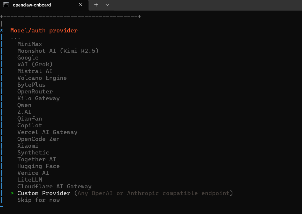 OpenClaw 选择 Custom Provider