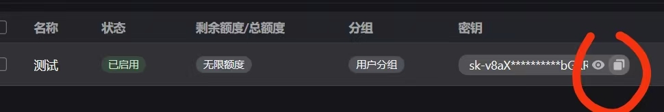 复制 API 密钥
